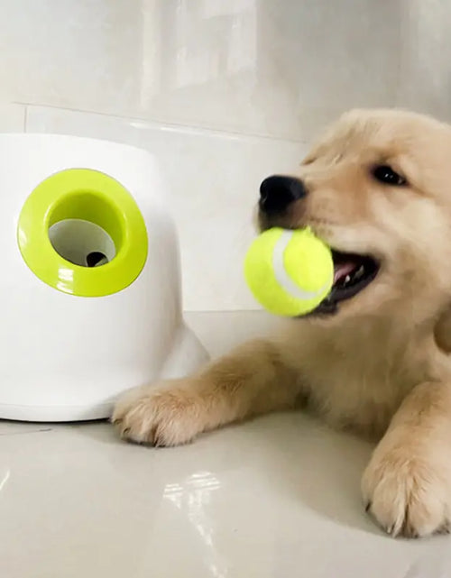 Load image into Gallery viewer, Catapult Ball Launcher Dog Toy Tennis Jumping Ball
