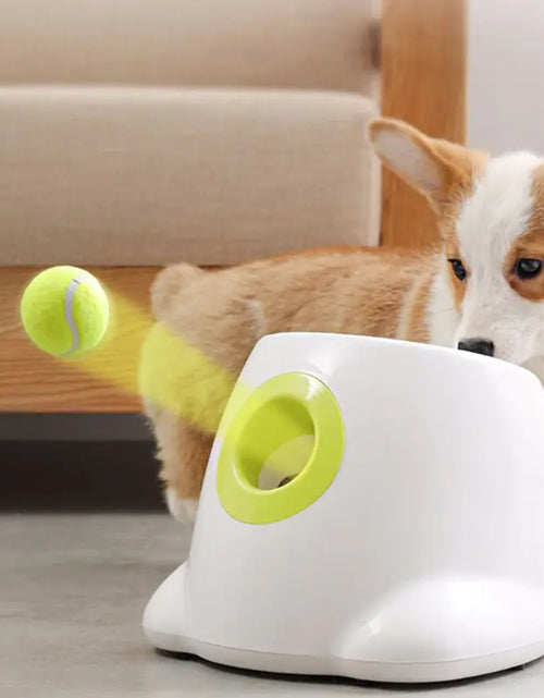 Load image into Gallery viewer, Catapult Ball Launcher Dog Toy Tennis Jumping Ball
