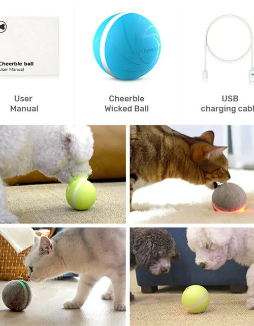 Load image into Gallery viewer, LED Pet Ball
